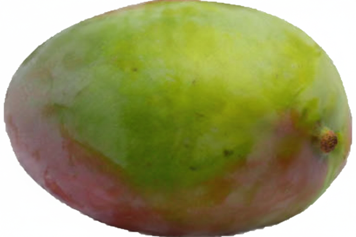 Mangue Keitt